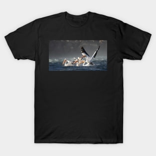 Feeding Frenzy- Pelicans T-Shirt